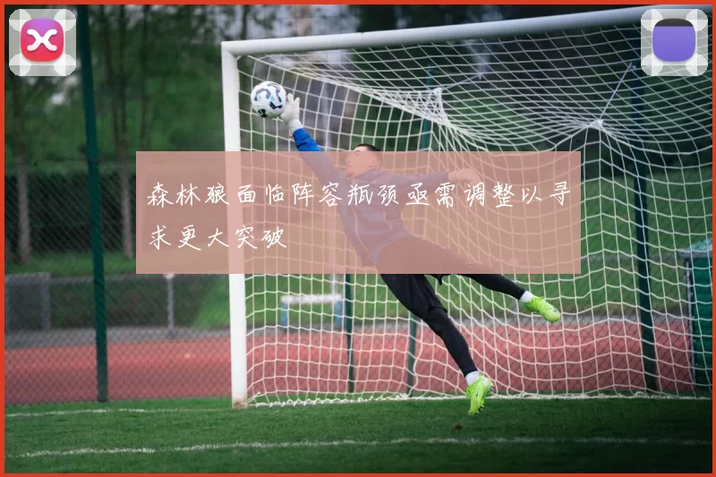 森林狼面临阵容瓶颈亟需调整以寻求更大突破